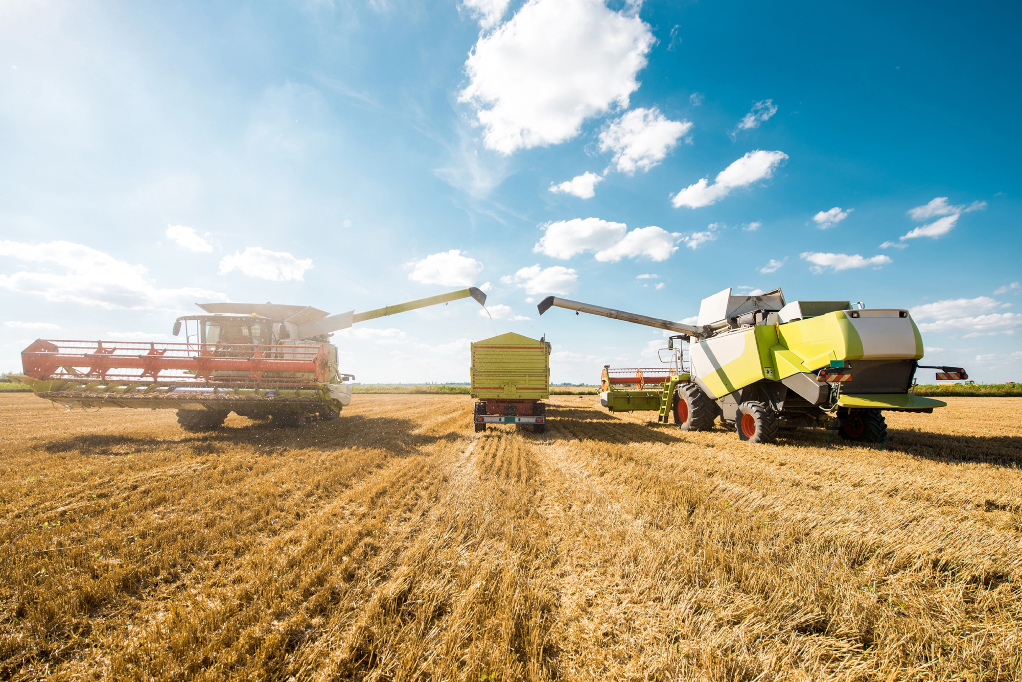 landwirtschaft landwirtschaft
